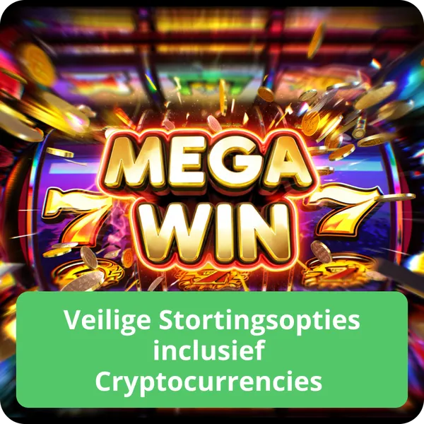 Veilige Stortingsopties inclusief Cryptocurrencies